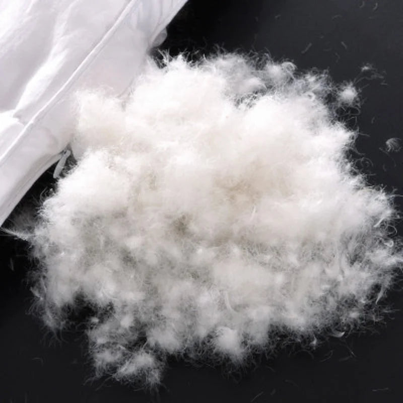 Couette de luxe en duvet d’oie